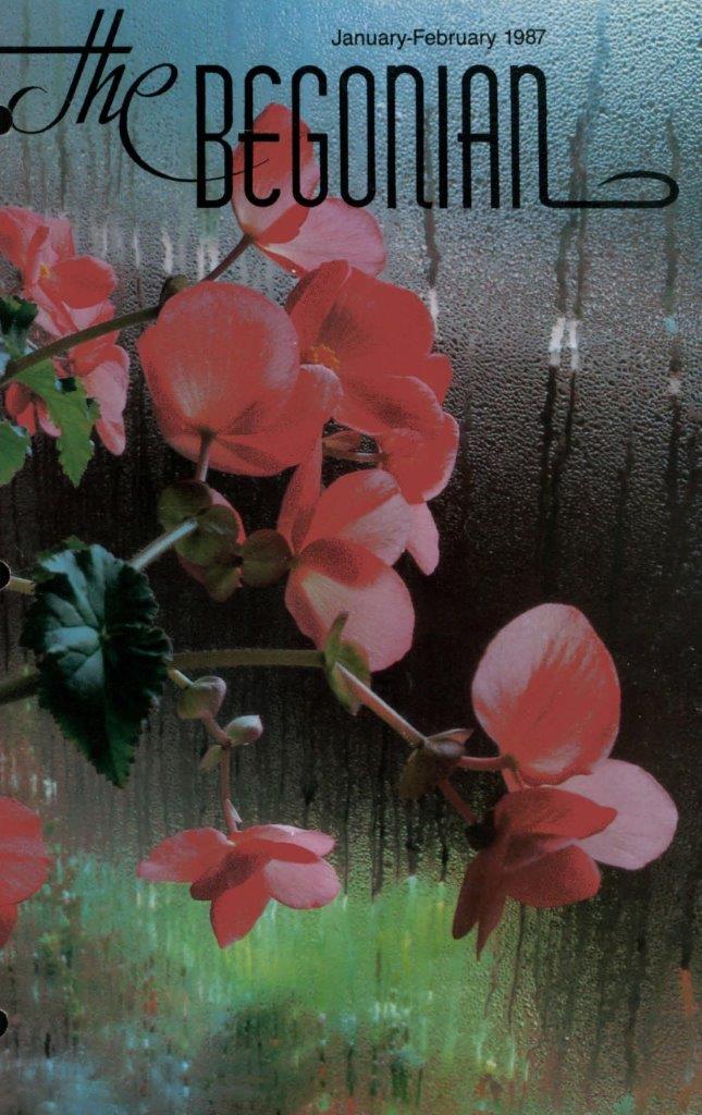 B. ‘Schwabenland Salmon’